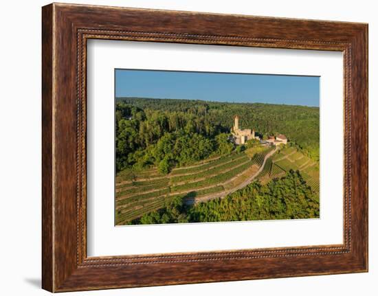 Aerial of Hornberg Castle, Neckarzimmern, Neckartal Valley, Odenwald, Burgenstrasse-Markus Lange-Framed Photographic Print