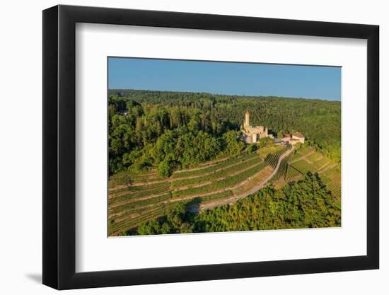 Aerial of Hornberg Castle, Neckarzimmern, Neckartal Valley, Odenwald, Burgenstrasse-Markus Lange-Framed Photographic Print