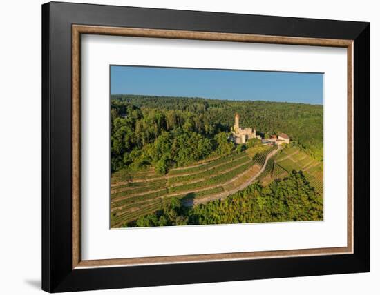 Aerial of Hornberg Castle, Neckarzimmern, Neckartal Valley, Odenwald, Burgenstrasse-Markus Lange-Framed Photographic Print