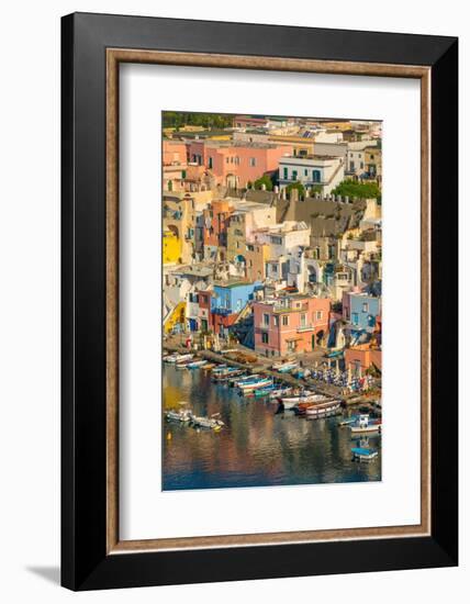 Aerial of Marina di Corricella, Procida, Flegrean Islands, Campania, Italy, Europe-Neil Farrin-Framed Photographic Print