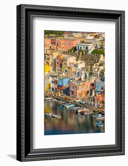 Aerial of Marina di Corricella, Procida, Flegrean Islands, Campania, Italy, Europe-Neil Farrin-Framed Photographic Print