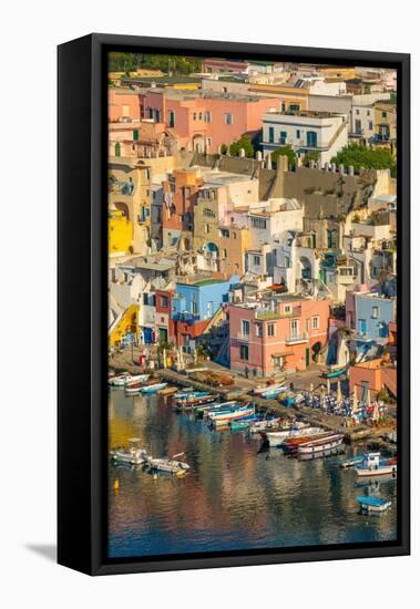 Aerial of Marina di Corricella, Procida, Flegrean Islands, Campania, Italy, Europe-Neil Farrin-Framed Premier Image Canvas