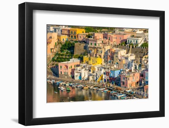 Aerial of Marina di Corricella, Procida, Flegrean Islands, Campania, Italy, Europe-Neil Farrin-Framed Photographic Print