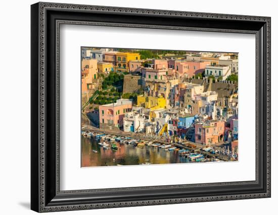 Aerial of Marina di Corricella, Procida, Flegrean Islands, Campania, Italy, Europe-Neil Farrin-Framed Photographic Print