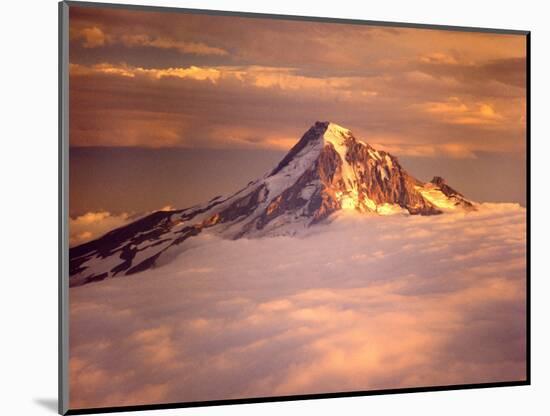 Aerial of Mt. Hood, Oregon Cascades, USA-Janis Miglavs-Mounted Photographic Print