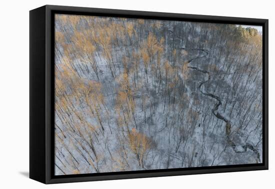 Aerial of snowy trees, Marion County, Illinois.-Richard & Susan Day-Framed Premier Image Canvas