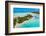 Aerial of the blue lagoon, Fakarava, Tuamotu archipelago, French Polynesia-Michael Runkel-Framed Photographic Print