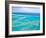 Aerial of the Great Barrier Reef, Whitsunday Coast, Queensland, Australia-Walter Bibikow-Framed Photographic Print