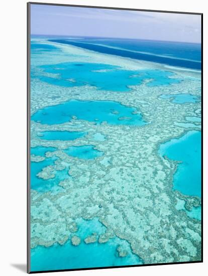 Aerial of the Great Barrier Reef, Whitsunday Coast, Queensland, Australia-Walter Bibikow-Mounted Photographic Print