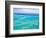 Aerial of the Great Barrier Reef, Whitsunday Coast, Queensland, Australia-Walter Bibikow-Framed Photographic Print