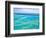 Aerial of the Great Barrier Reef, Whitsunday Coast, Queensland, Australia-Walter Bibikow-Framed Photographic Print