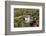 Aerial of Trappensee little castle, Heilbronn, Neckartal Valley, Wuerttemberg Wine Route-Markus Lange-Framed Photographic Print