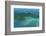 Aerial of View Lord Howe Island, UNESCO World Heritage Site, Australia, Tasman Sea, Pacific-Michael Runkel-Framed Photographic Print