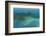 Aerial of View Lord Howe Island, UNESCO World Heritage Site, Australia, Tasman Sea, Pacific-Michael Runkel-Framed Photographic Print