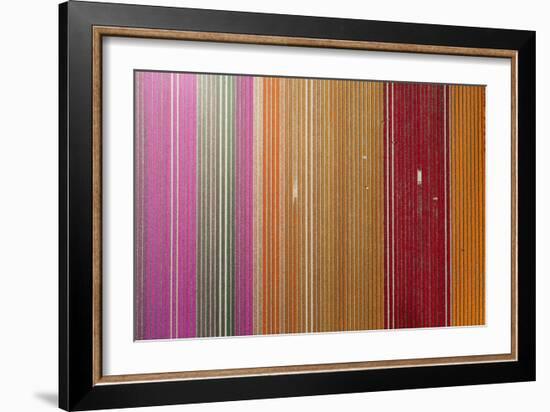 Aerial of workers in colorful tulip fields, Edendale, Southland, South Island, New Zealand.-David Wall-Framed Photographic Print