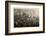 Aerial Photo of Downtown Philadelphia, Taken from the LZ 127 Graf Zeppelin, 1928-German photographer-Framed Photographic Print