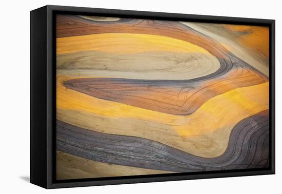 Aerial Photo of Freshly Harvested Wheat Fields on the Palouse in Eastern Washington in Late Summer-Ben Herndon-Framed Premier Image Canvas