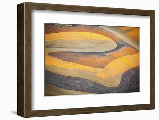 Aerial Photo of Freshly Harvested Wheat Fields on the Palouse in Eastern Washington in Late Summer-Ben Herndon-Framed Photographic Print