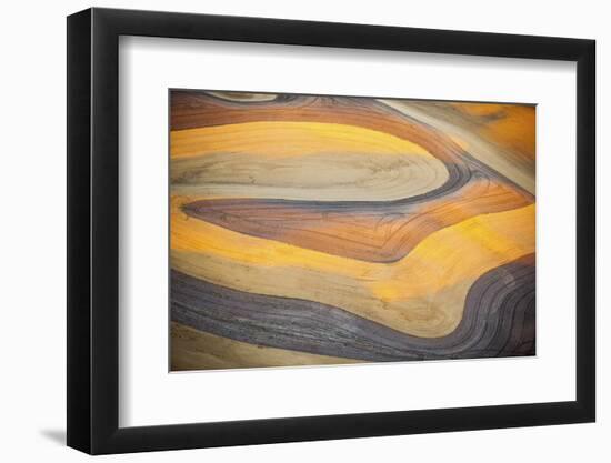 Aerial Photo of Freshly Harvested Wheat Fields on the Palouse in Eastern Washington in Late Summer-Ben Herndon-Framed Photographic Print