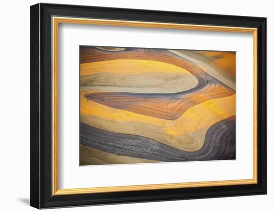 Aerial Photo of Freshly Harvested Wheat Fields on the Palouse in Eastern Washington in Late Summer-Ben Herndon-Framed Photographic Print