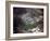 Aerial Photo of Jonestown, Guyana-null-Framed Photo