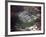 Aerial Photo of Jonestown, Guyana-null-Framed Photo