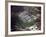 Aerial Photo of Jonestown, Guyana-null-Framed Photo