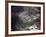 Aerial Photo of Jonestown, Guyana-null-Framed Photo