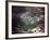 Aerial Photo of Jonestown, Guyana-null-Framed Photo