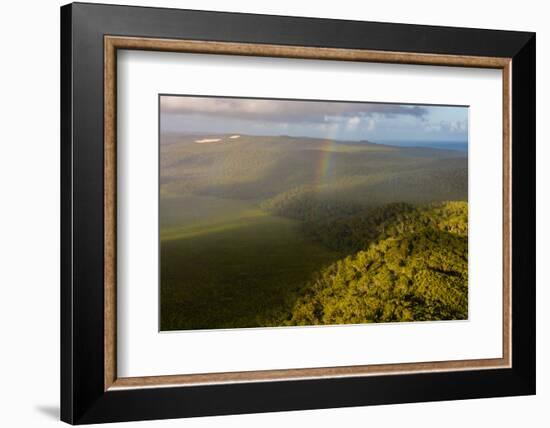 Aerial photograph of a rainbow & giant sand dunes, Great Sandy National Park, Australia-Mark A Johnson-Framed Photographic Print