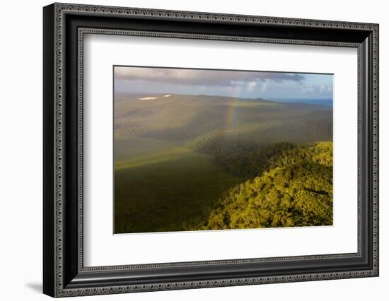 Aerial photograph of a rainbow & giant sand dunes, Great Sandy National Park, Australia-Mark A Johnson-Framed Photographic Print