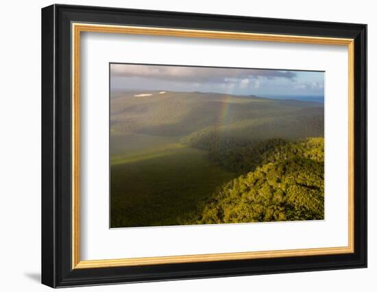 Aerial photograph of a rainbow & giant sand dunes, Great Sandy National Park, Australia-Mark A Johnson-Framed Photographic Print