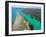 Aerial photograph of Kiholo Bay, Big Island (Hawaii Island), Hawaii-Mark A Johnson-Framed Photographic Print