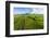 Aerial photograph of pasture land near Waimea, Big Island, Hawaii-Mark A Johnson-Framed Photographic Print