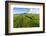 Aerial photograph of pasture land near Waimea, Big Island, Hawaii-Mark A Johnson-Framed Photographic Print