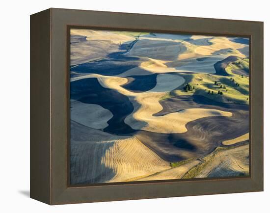 Aerial Photography at Harvest Time in the Palouse Region of Eastern Washington-Julie Eggers-Framed Premier Image Canvas