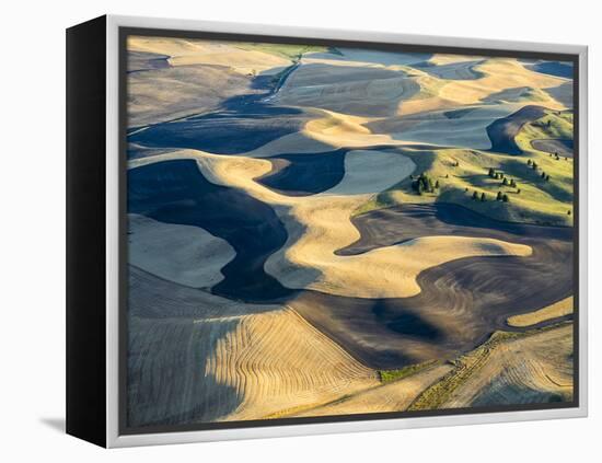 Aerial Photography at Harvest Time in the Palouse Region of Eastern Washington-Julie Eggers-Framed Premier Image Canvas