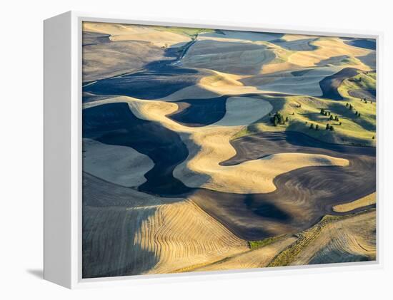 Aerial Photography at Harvest Time in the Palouse Region of Eastern Washington-Julie Eggers-Framed Premier Image Canvas