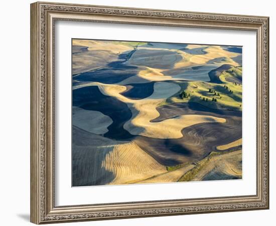 Aerial Photography at Harvest Time in the Palouse Region of Eastern Washington-Julie Eggers-Framed Photographic Print