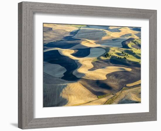 Aerial Photography at Harvest Time in the Palouse Region of Eastern Washington-Julie Eggers-Framed Photographic Print