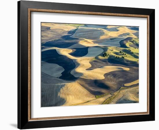 Aerial Photography at Harvest Time in the Palouse Region of Eastern Washington-Julie Eggers-Framed Photographic Print