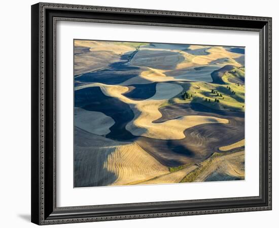 Aerial Photography at Harvest Time in the Palouse Region of Eastern Washington-Julie Eggers-Framed Photographic Print