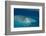 Aerial Photography of Coral Reef Formations of the Great Barrier Reef-Louise Murray-Framed Photographic Print