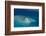 Aerial Photography of Coral Reef Formations of the Great Barrier Reef-Louise Murray-Framed Photographic Print