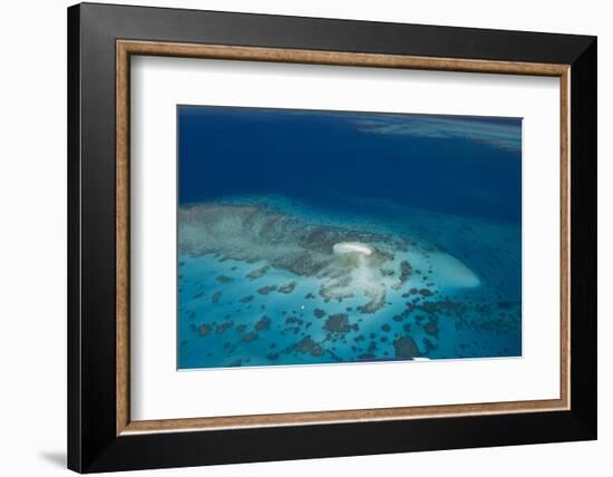 Aerial Photography of Coral Reef Formations of the Great Barrier Reef-Louise Murray-Framed Photographic Print