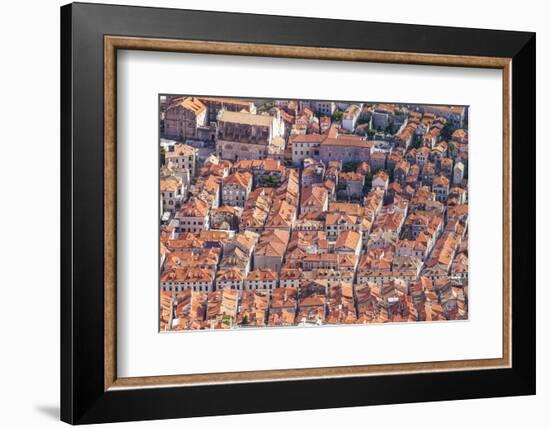 Aerial rooftop view of Dubrovnik Old Town, UNESCO World Heritage Site, Dubrovnik, Dalmatian Coast, -Neale Clark-Framed Photographic Print