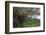 Aerial roots on tree, Amazon basin, Peru.-Tom Norring-Framed Photographic Print