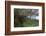 Aerial roots on tree, Amazon basin, Peru.-Tom Norring-Framed Photographic Print