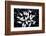 Aerial shot of a group of Mute swans and gulls, Switzerland-Mateusz Piesiak-Framed Photographic Print