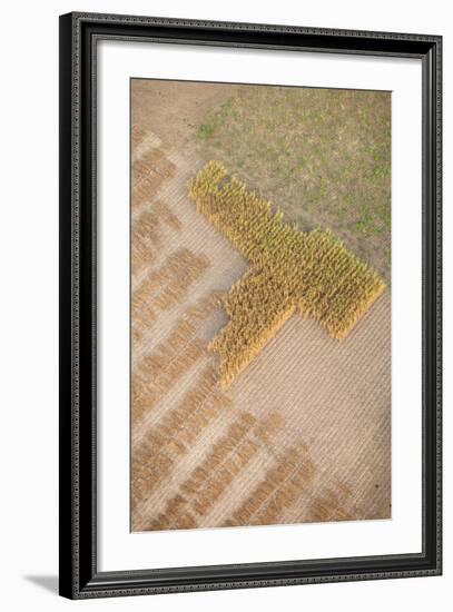 Aerial Shot of Field at Bagan, Myanmar-Harry Marx-Framed Photographic Print